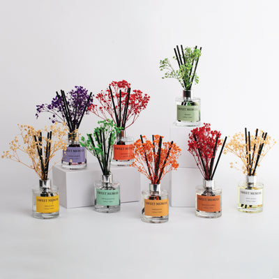Collection of Sweet Memoir reed diffusers in multiple fragrances displayed in a row, showcasing different colored oils and reed sticks.